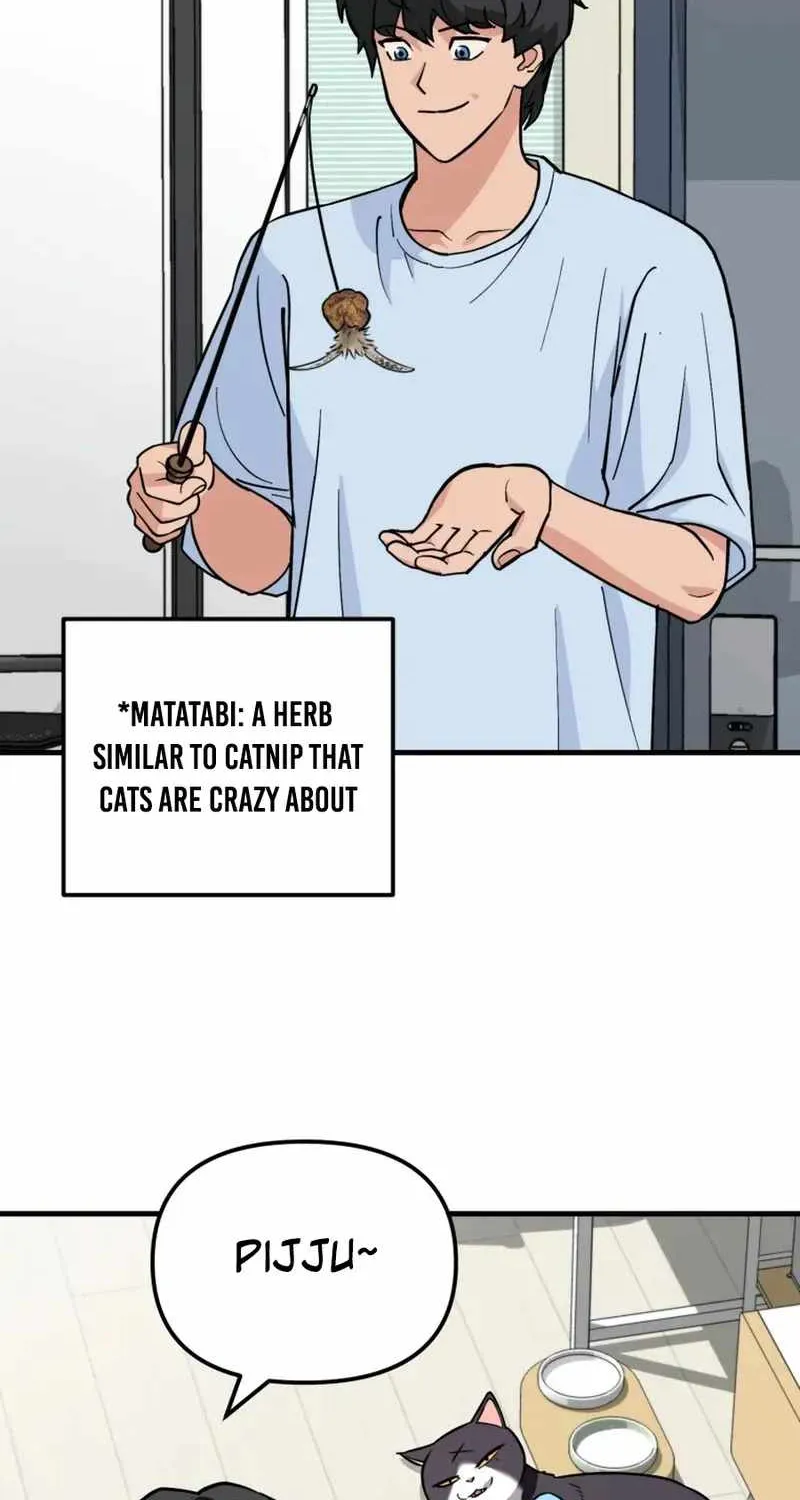 Chapter 11 — page 15