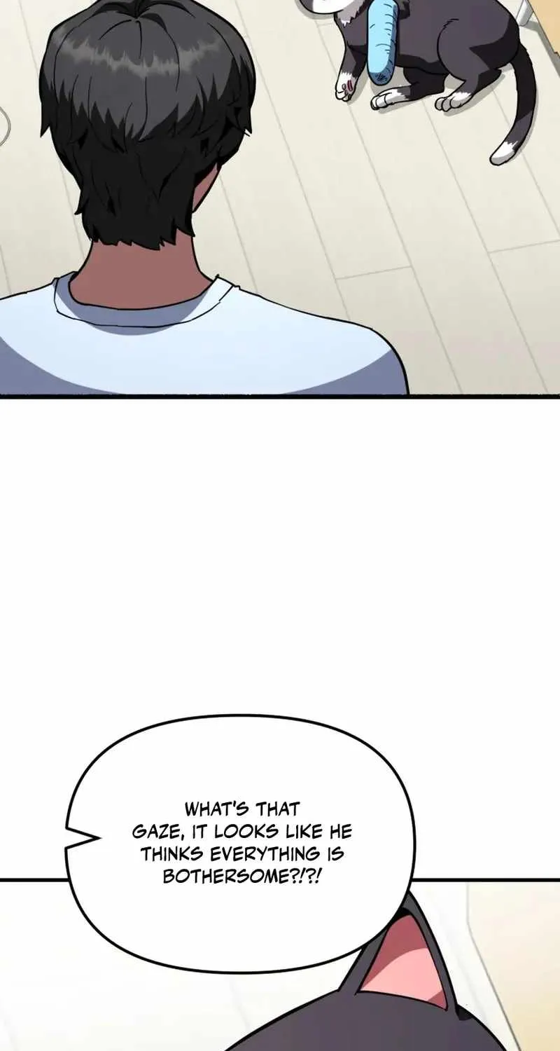 Chapter 11 — page 16