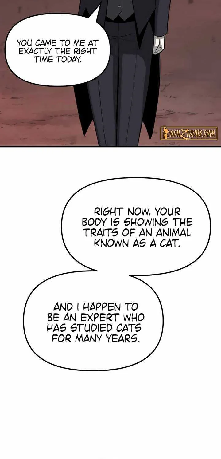 Chapter 3 — page 43