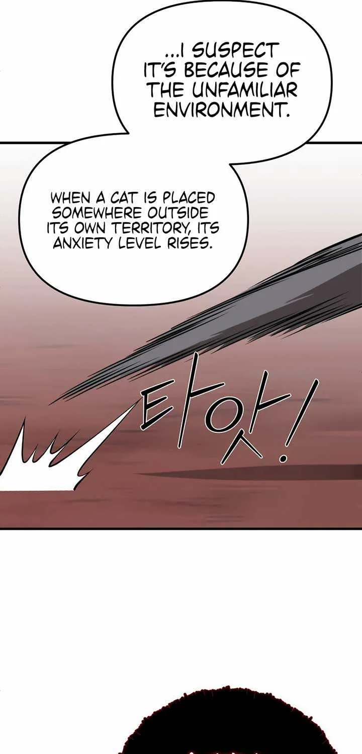 Chapter 3 — page 57