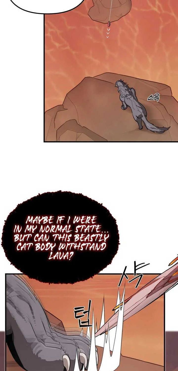 Chapter 4 — page 43