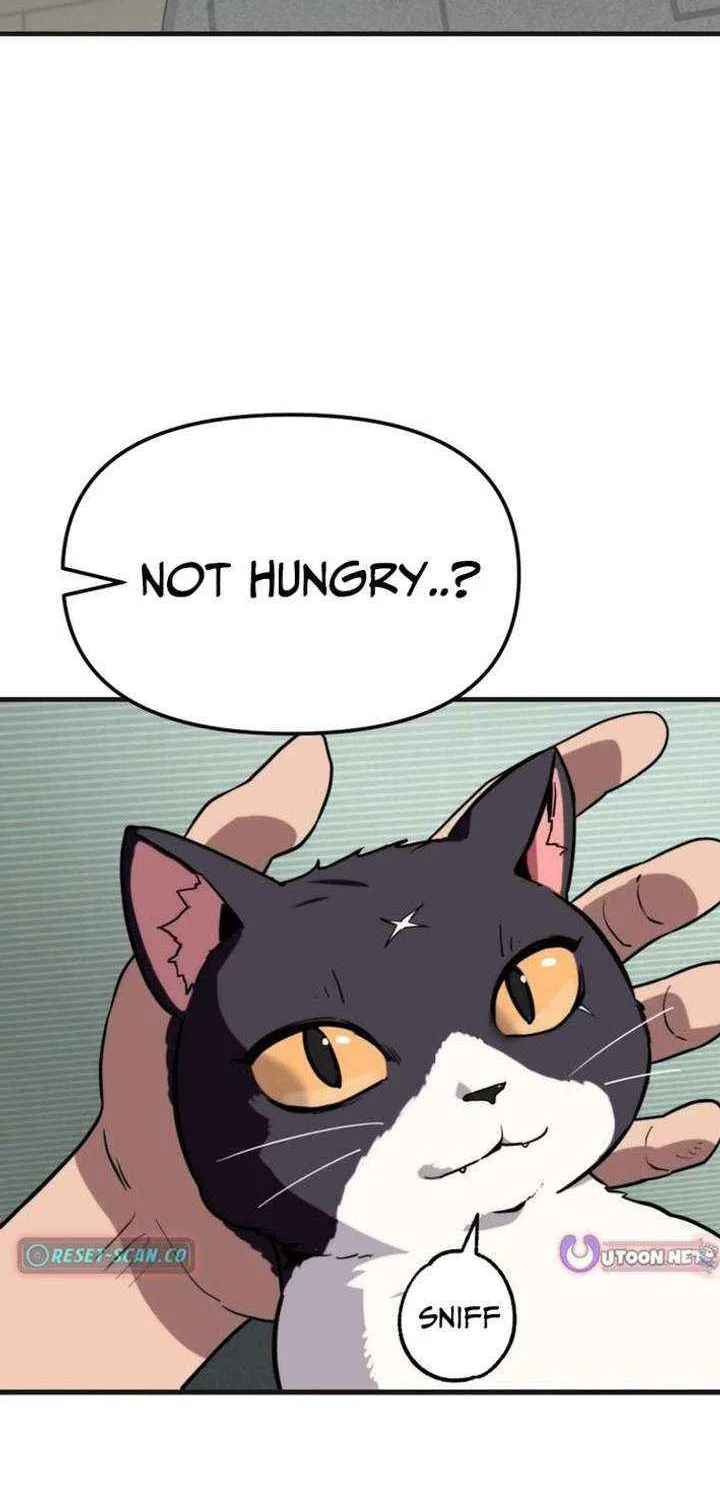 Chapter 10 — page 82