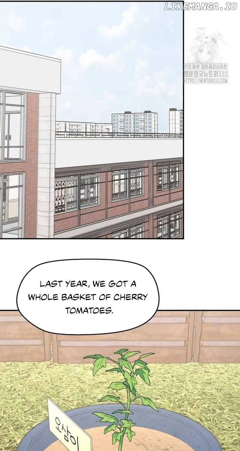 Chapter 8 — page 81