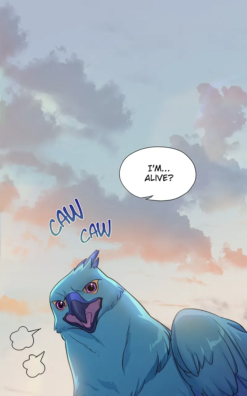 Chapter 3 — page 85