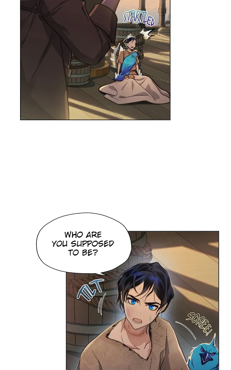 Chapter 3 — page 91