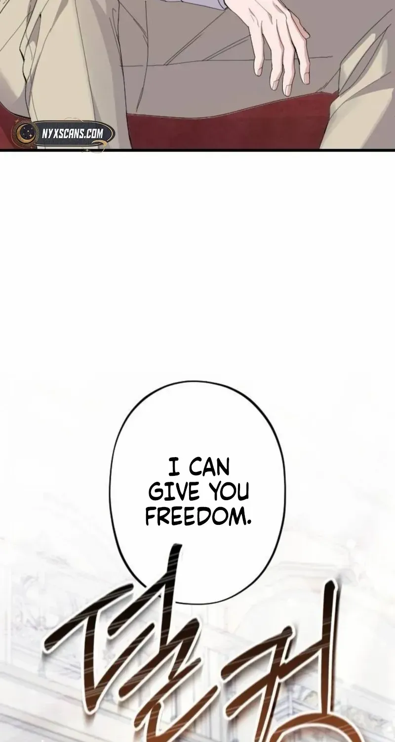 Chapter 14 — page 63