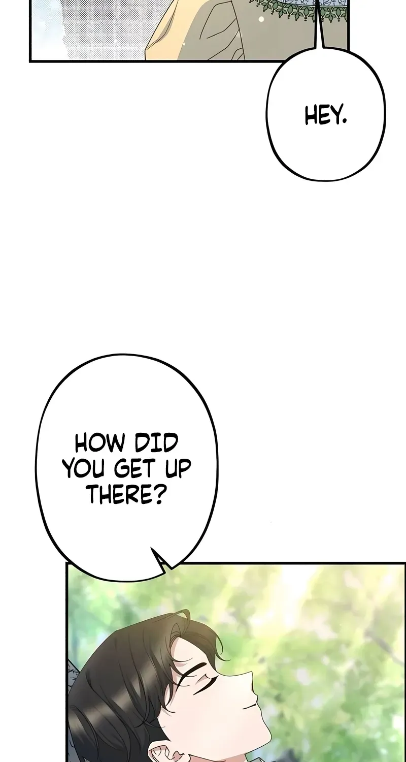 Chapter 20 — page 66