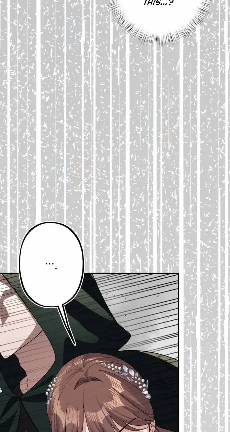 Chapter 24 — page 85