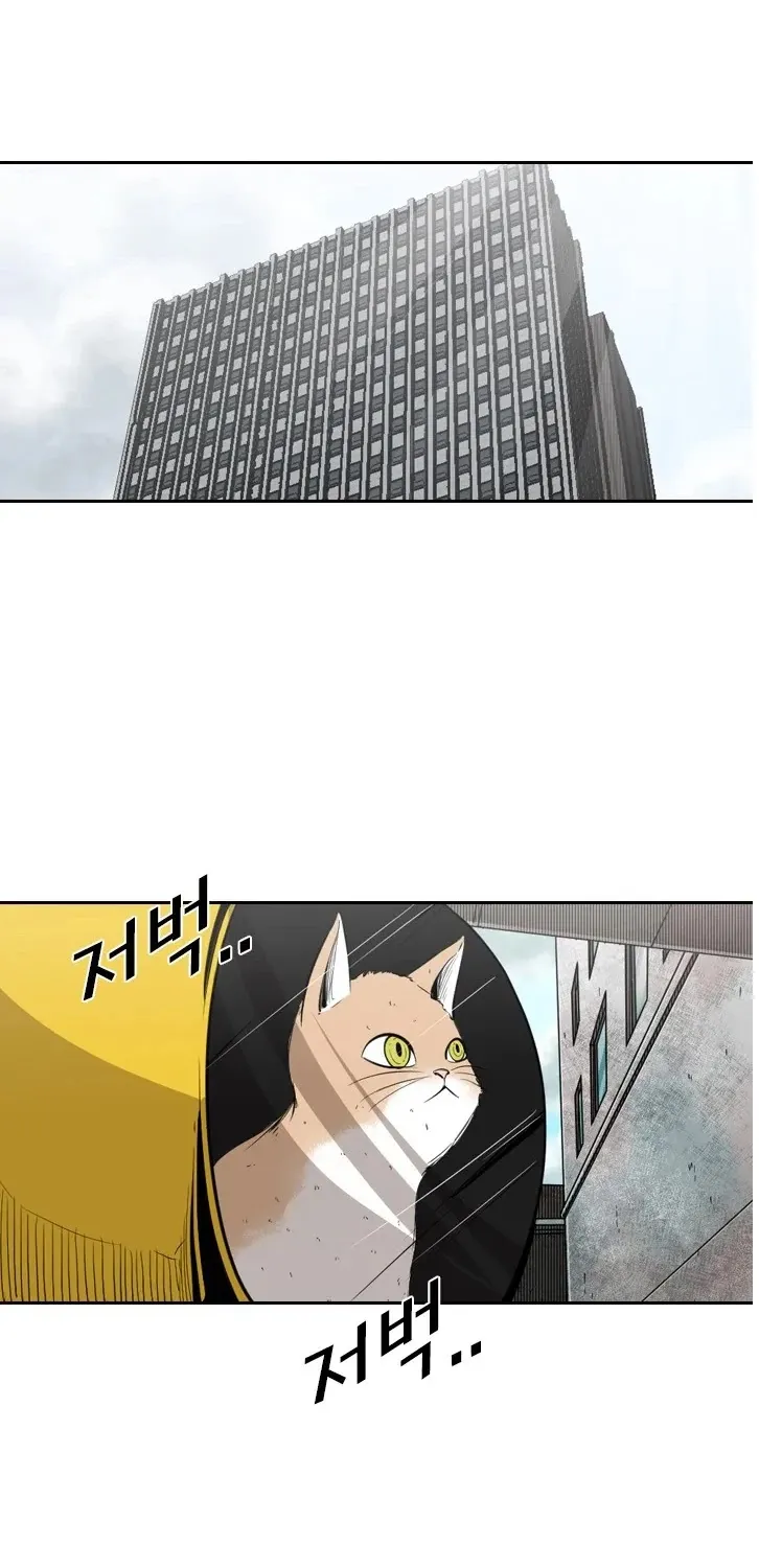 Chapter 135 — page 43