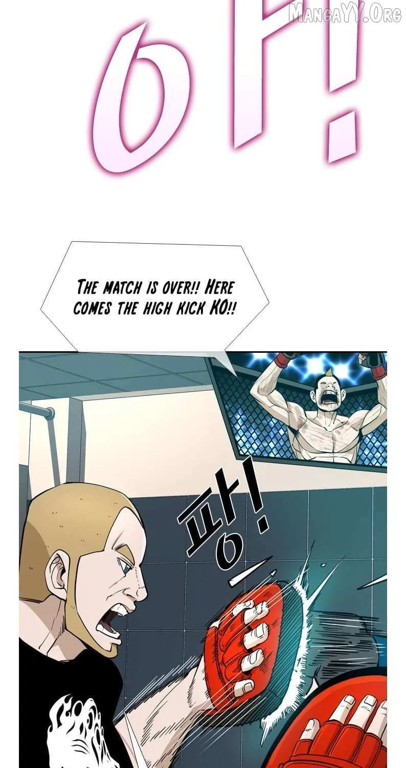 Chapter 255 — page 91