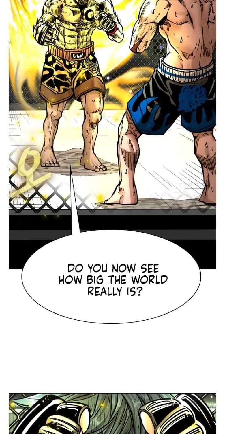 Chapter 293 — page 14