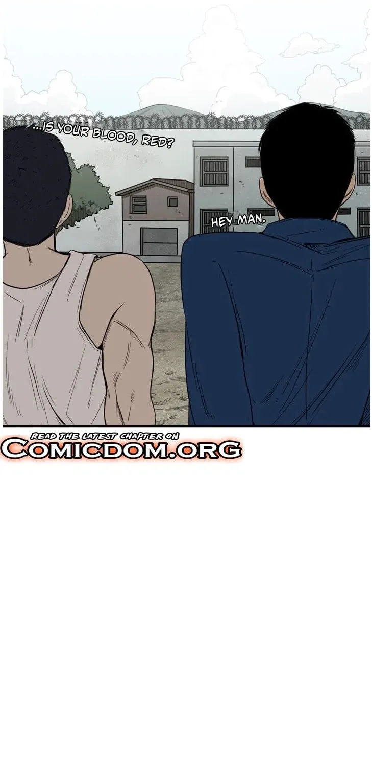 Chapter 5 — page 41