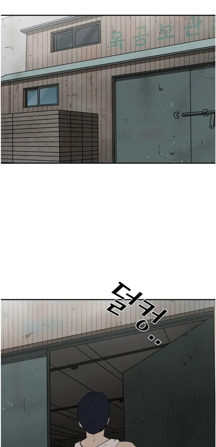 Chapter 5 — page 47