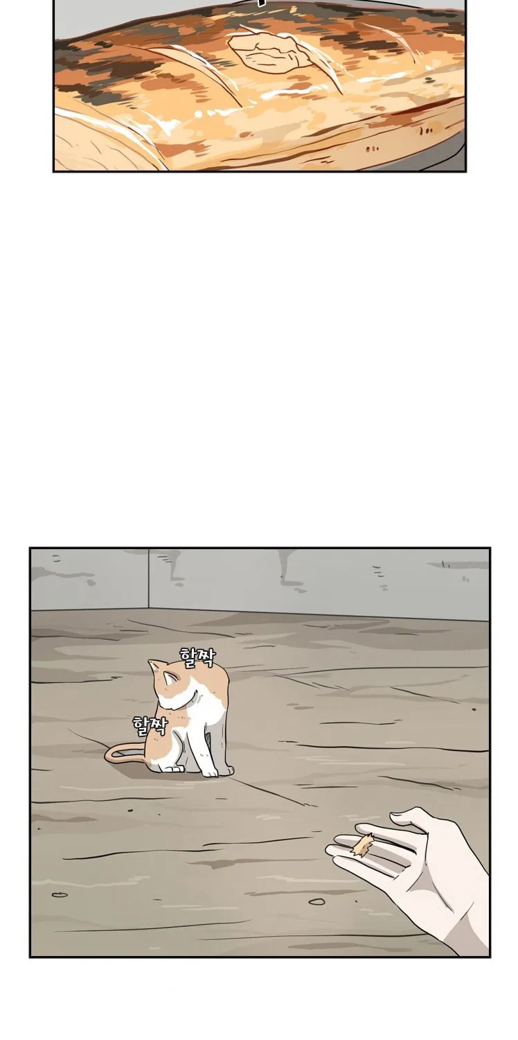 Chapter 55 — page 48
