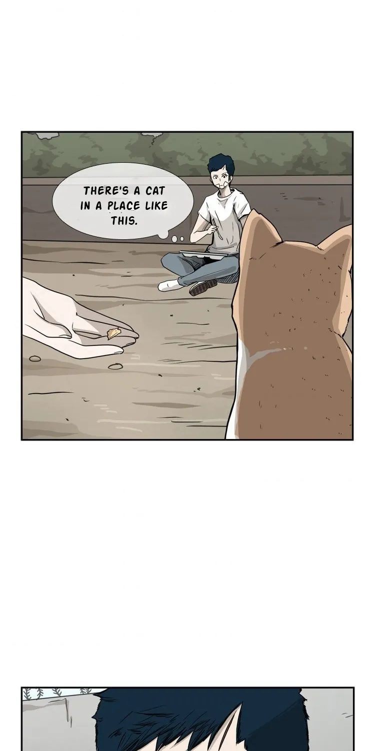 Chapter 55 — page 49