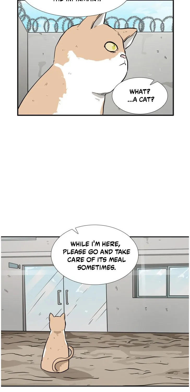Chapter 63 — page 13