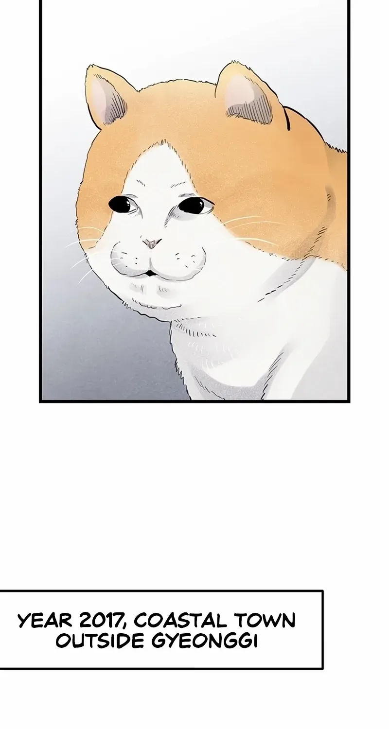 Chapter 1 — page 2