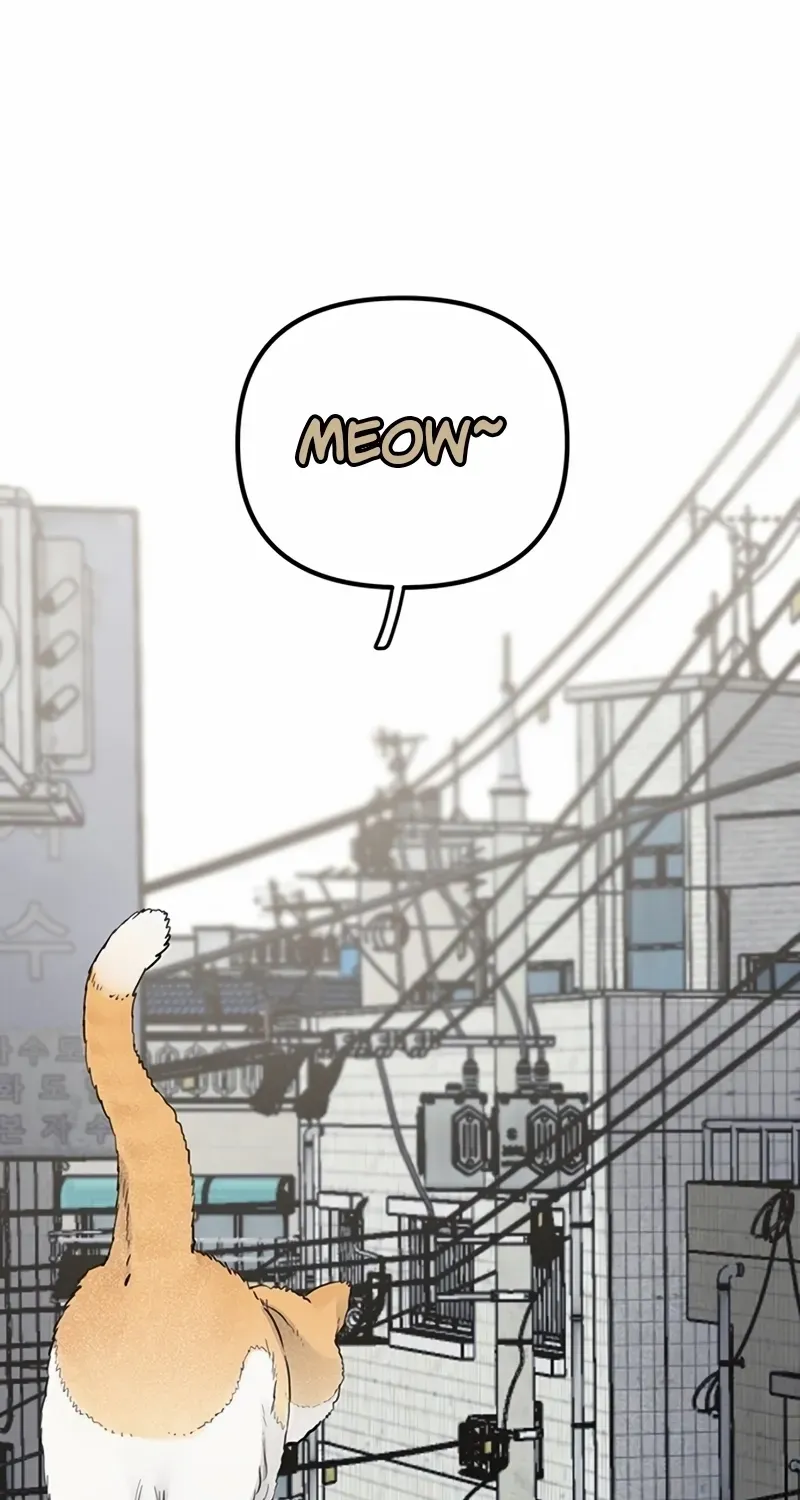 Chapter 1 — page 3