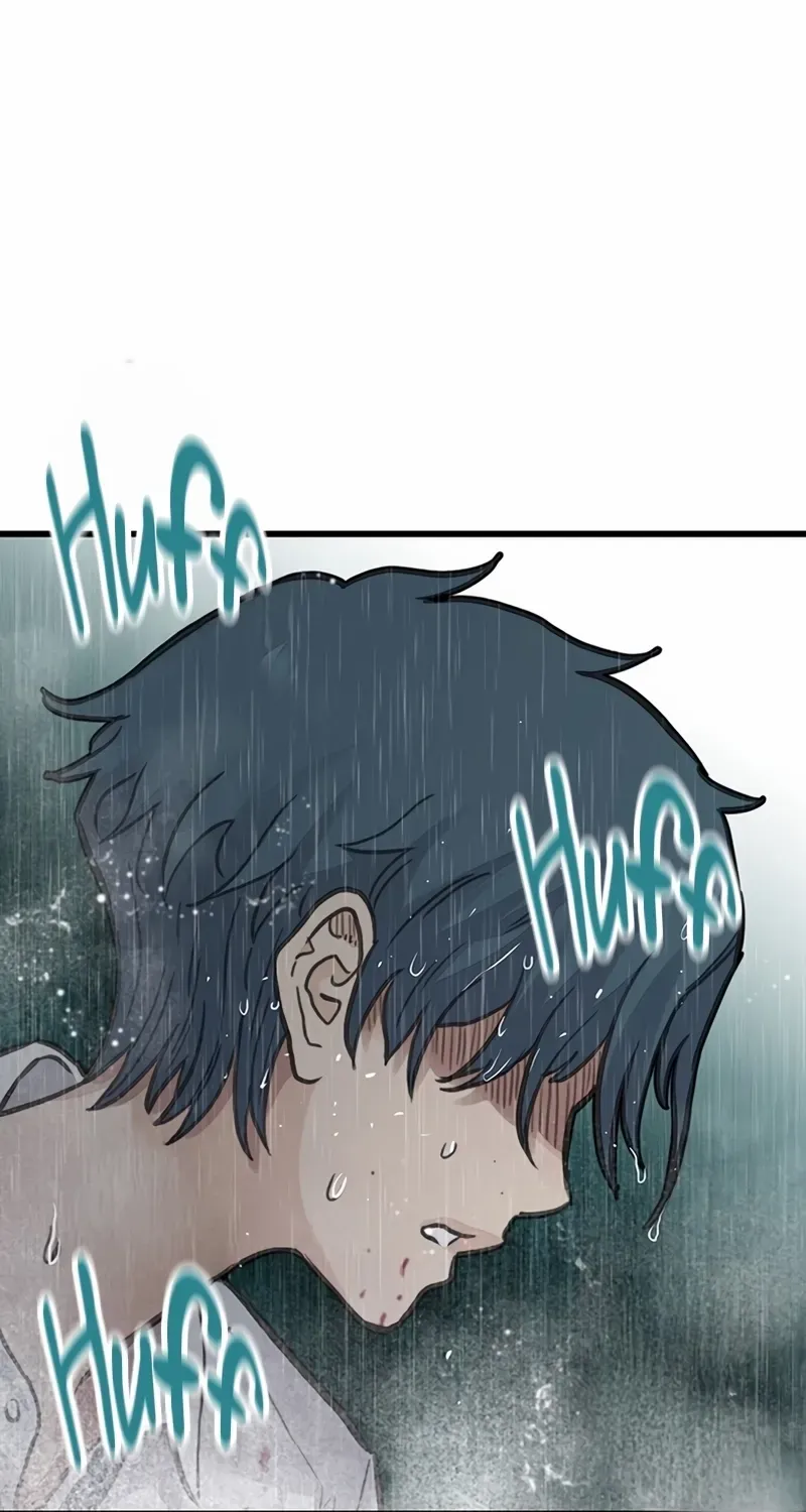 Chapter 1 — page 355