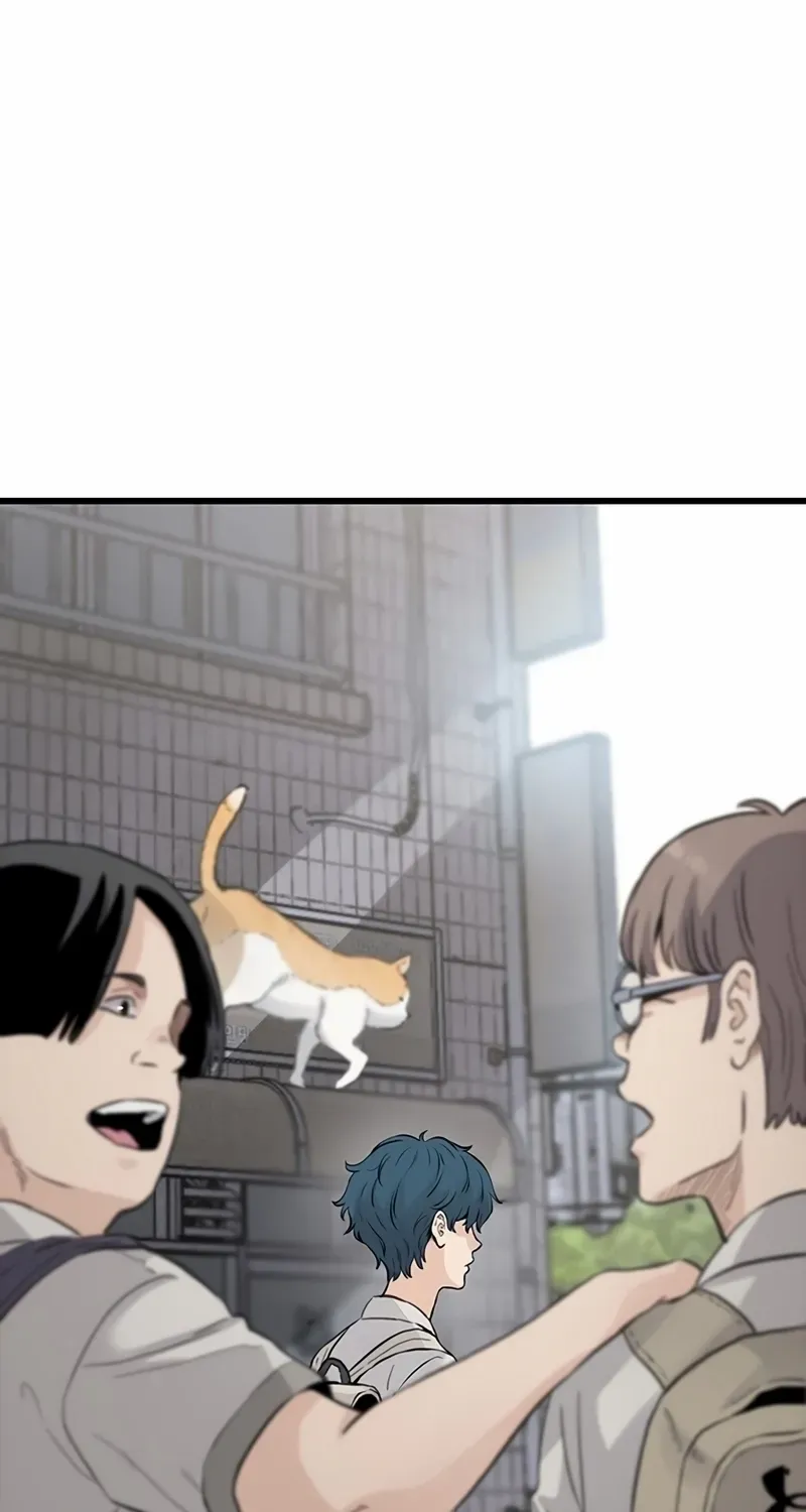 Chapter 1 — page 5