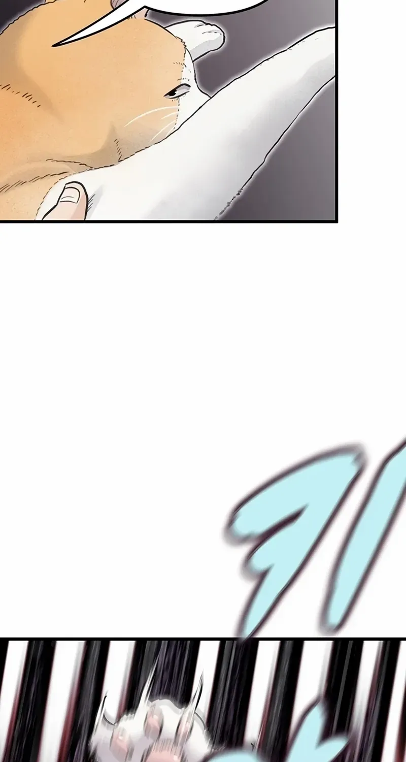 Chapter 1 — page 51