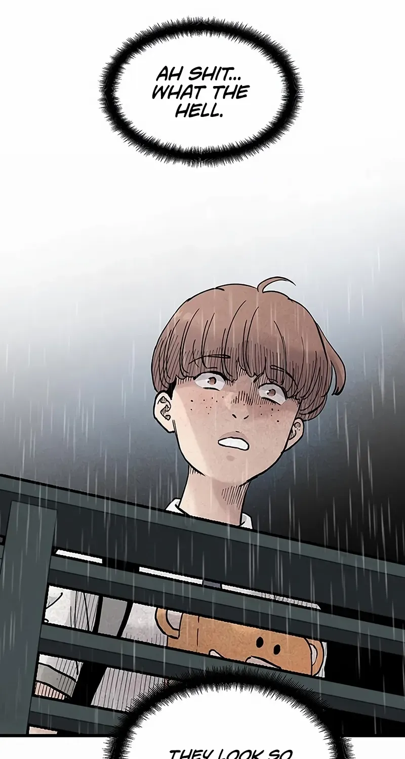 Chapter 13 — page 15