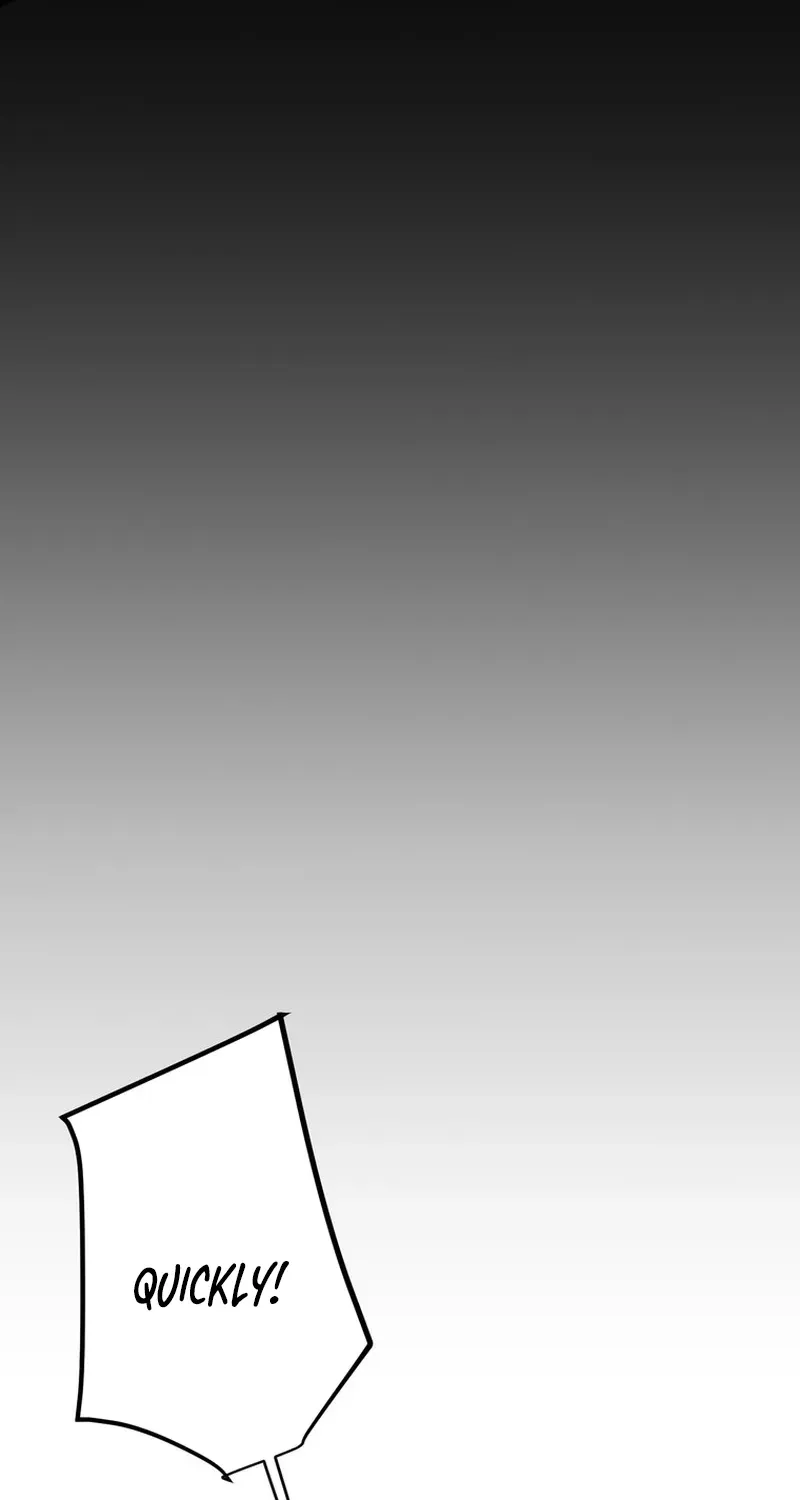 Chapter 3 — page 25