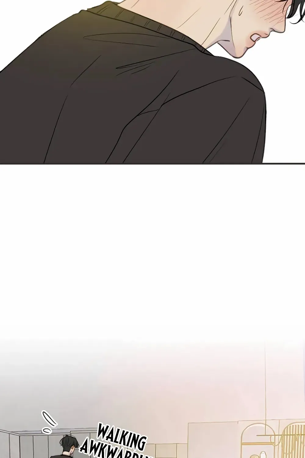 Chapter 7 — page 54
