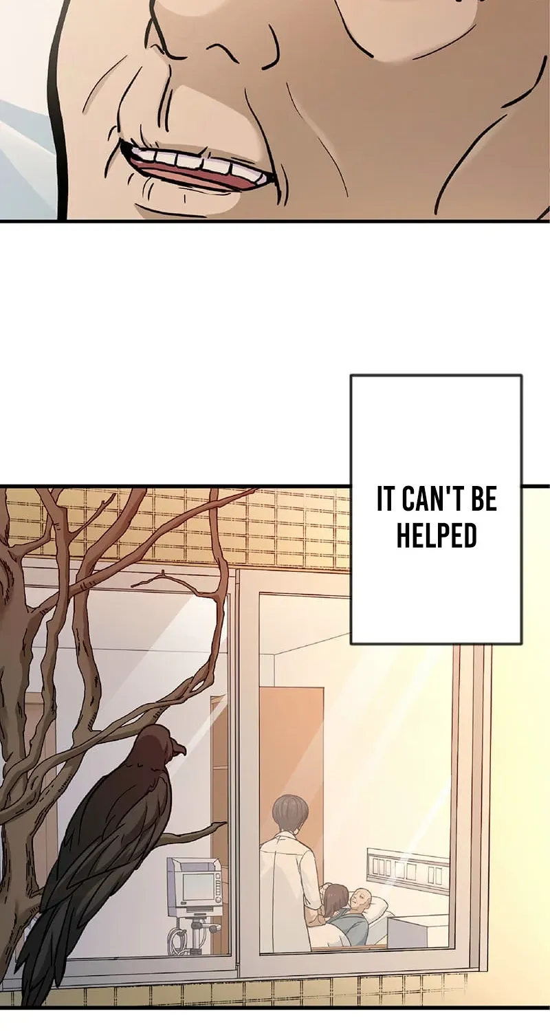 Chapter 1 — page 4