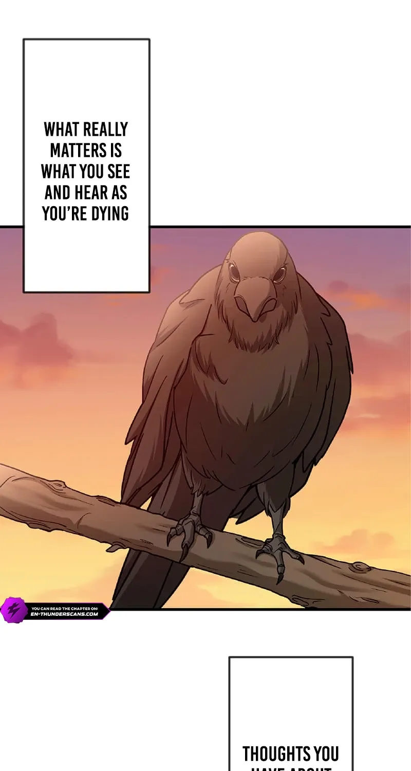 Chapter 1 — page 5