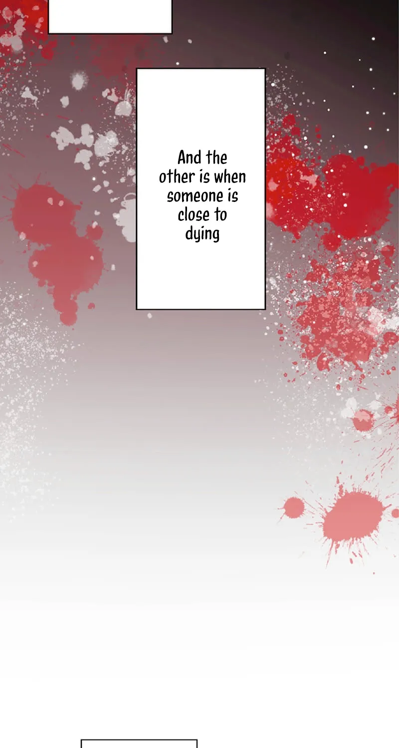 Chapter 2 — page 26