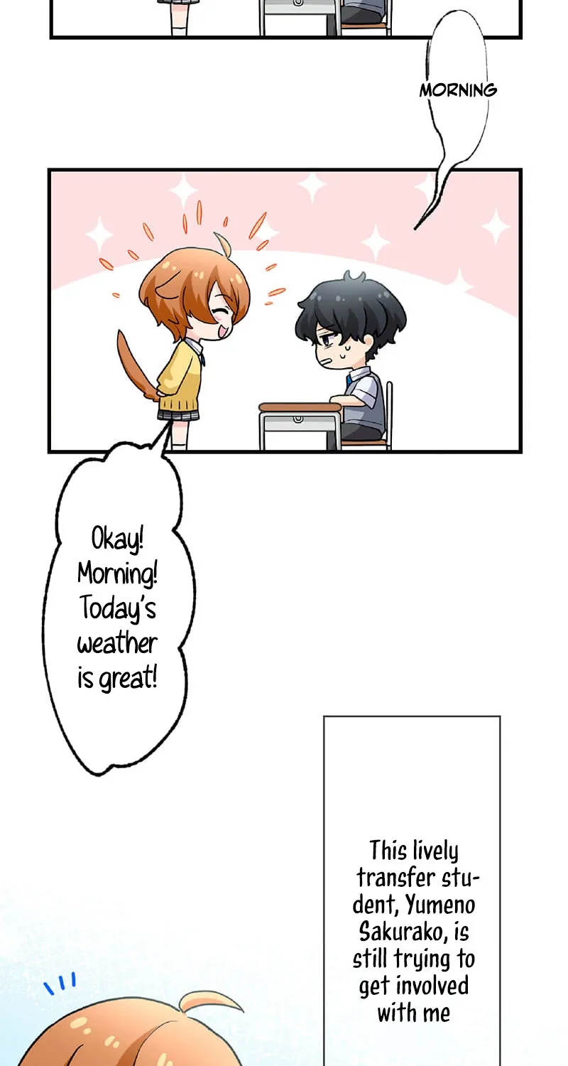 Chapter 2 — page 41