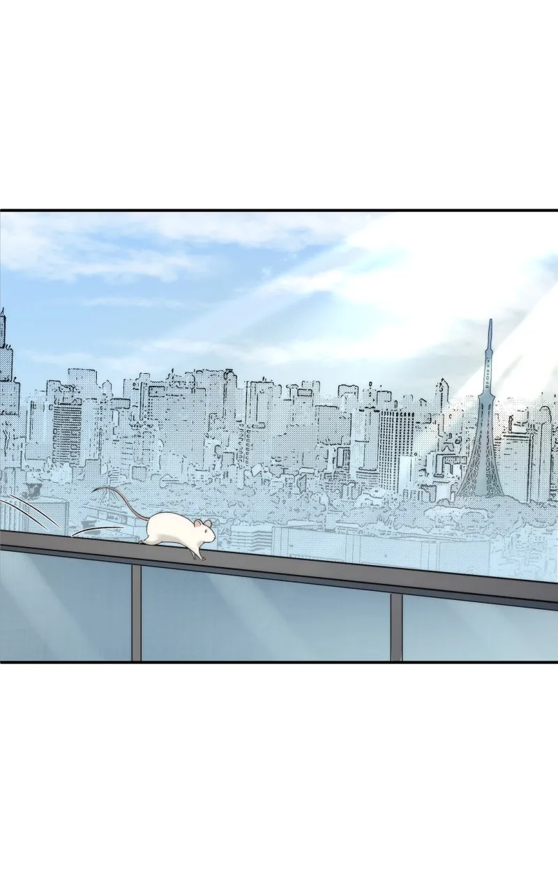 Chapter 243 — page 6