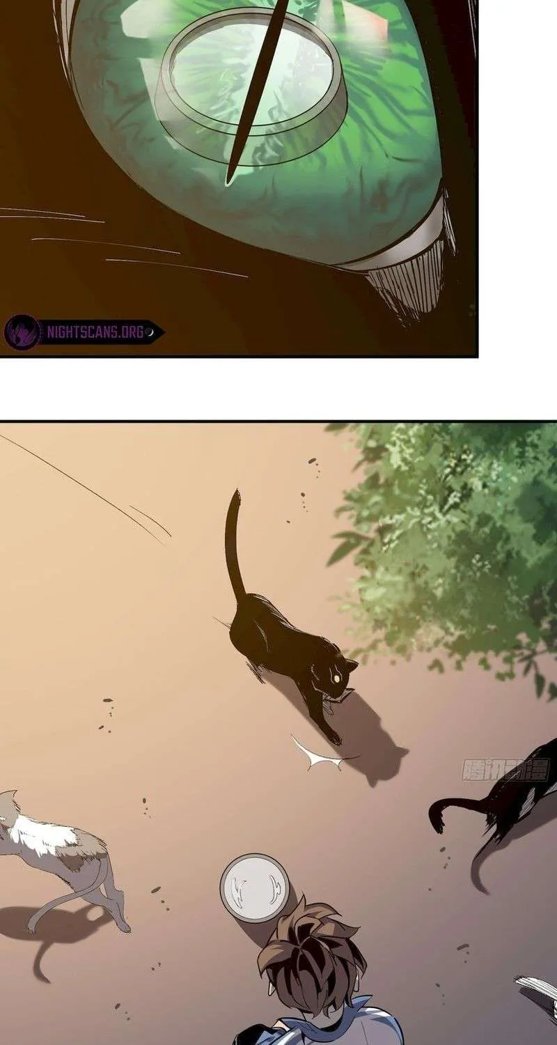 Chapter 8 — page 31