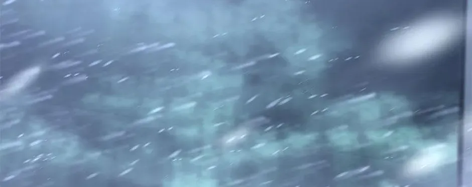 Chapter 2 — page 56