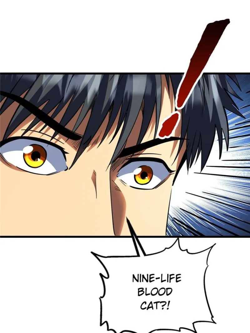 Chapter 288 — page 44