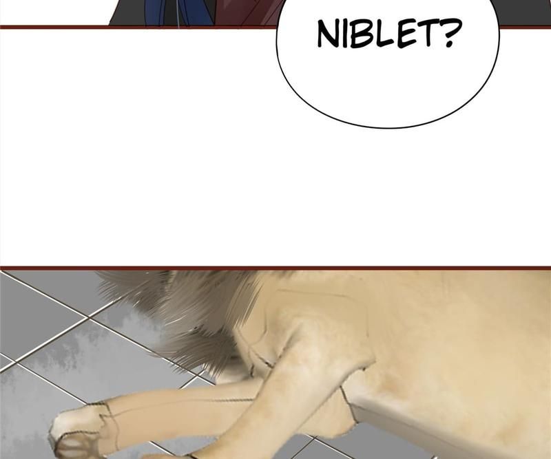 Supporting Actor's Survival Game - Episode 59 — page 48