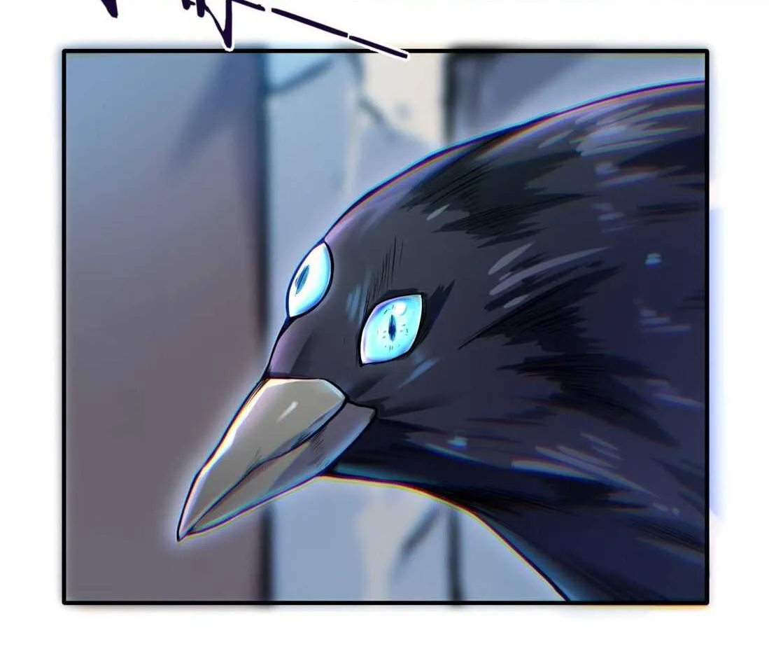 Chapter 1 — page 4