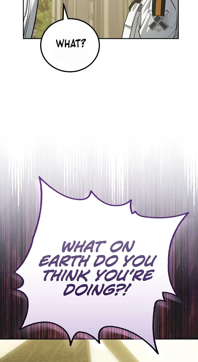 Chapter 17 — page 102