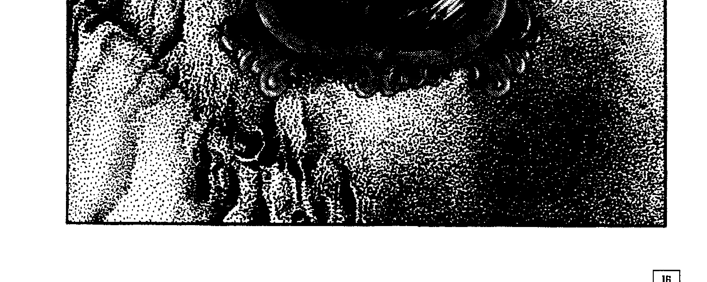 Chapter 2 — page 6