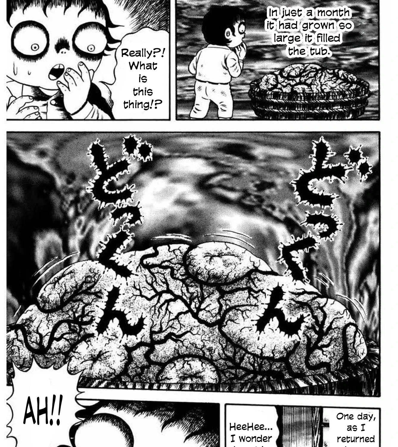 Chapter 12 — page 14
