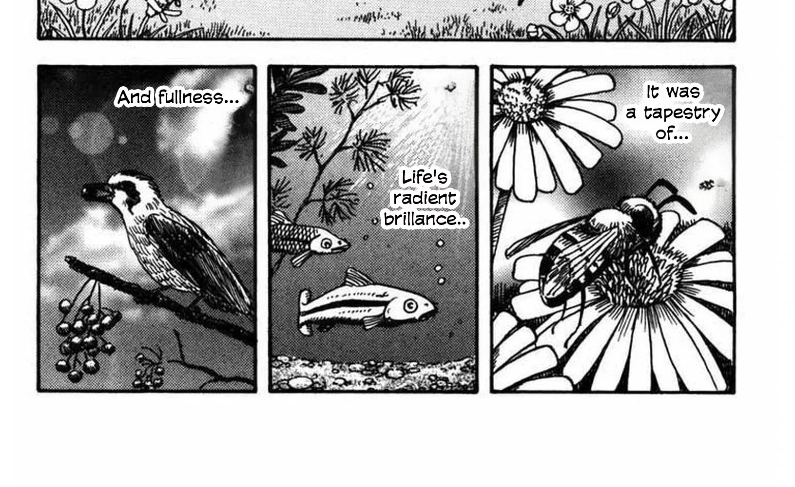Chapter 10 — page 35
