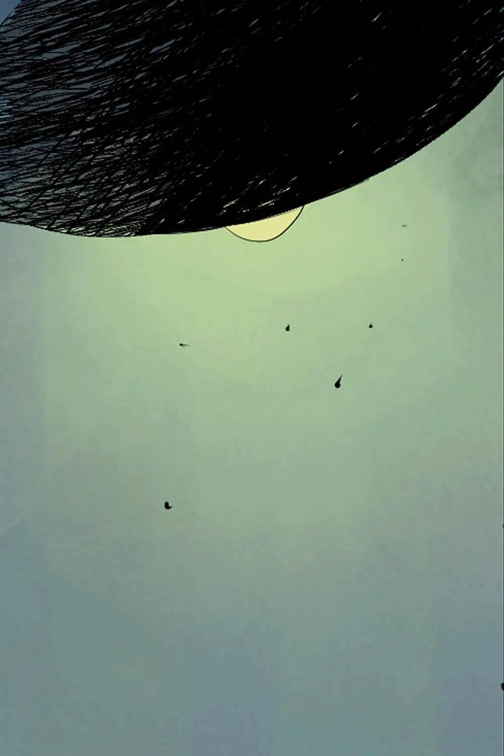 Chapter 14 — page 38
