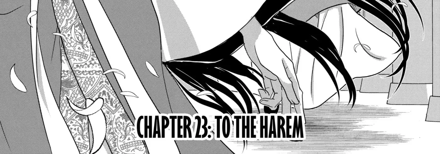 Chapter 23.1 — page 2