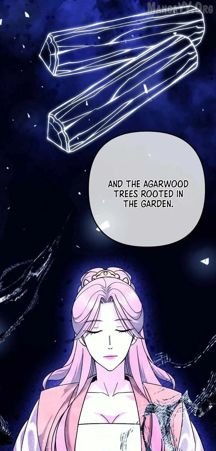 Chapter 43 — page 61