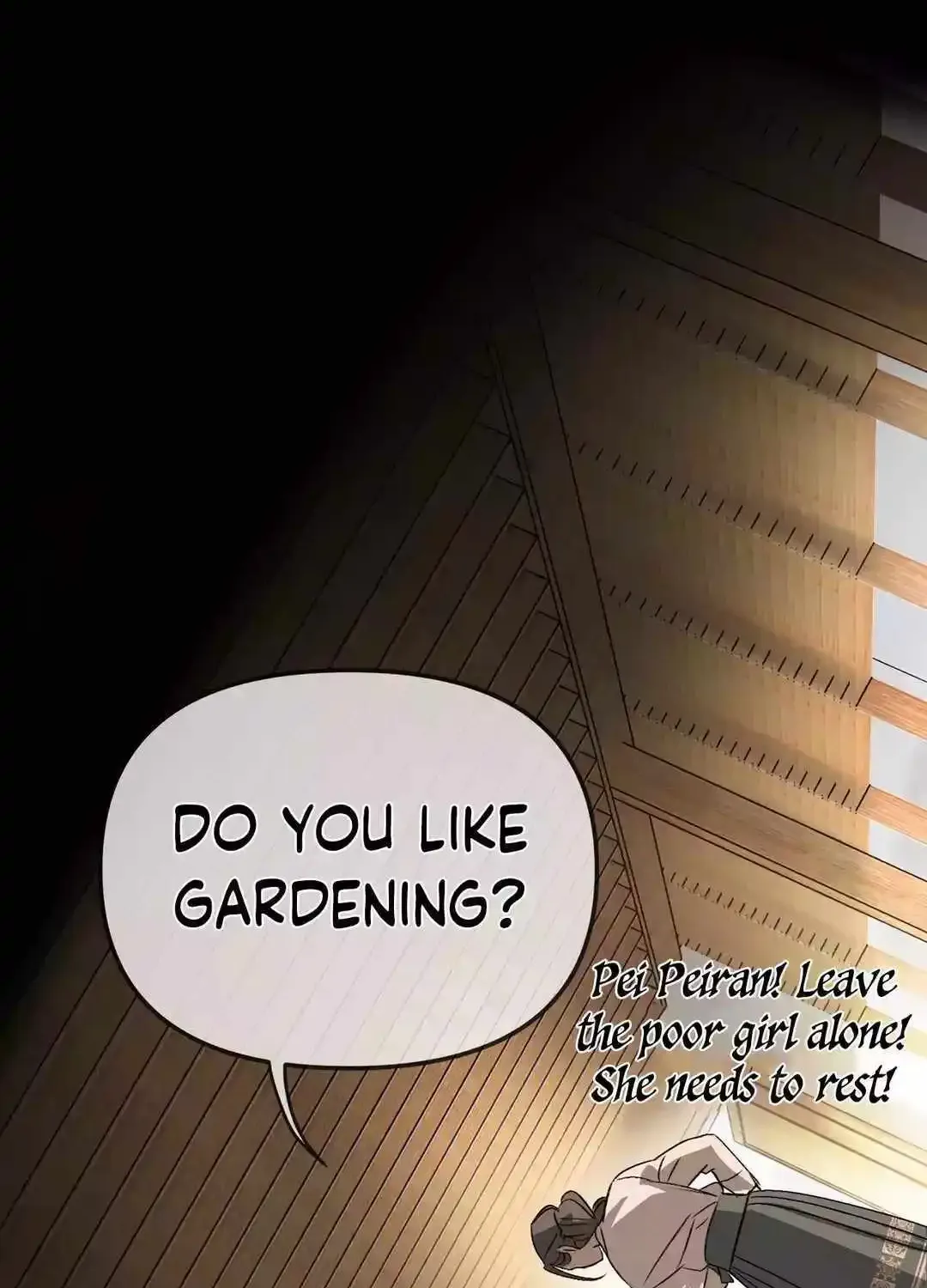 Chapter 28 — page 102