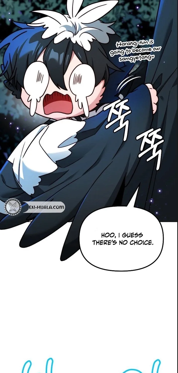 Chapter 2 — page 11