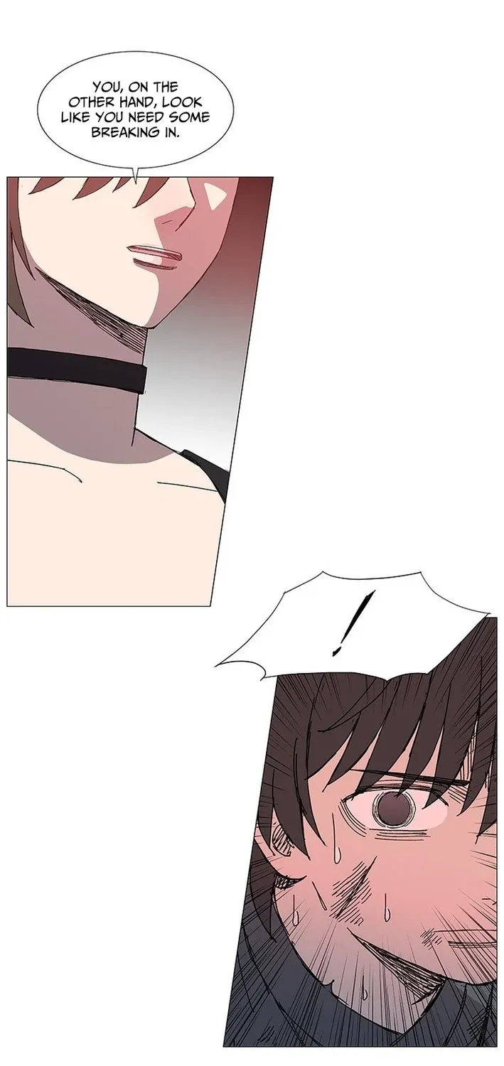 Chapter 7 — page 41