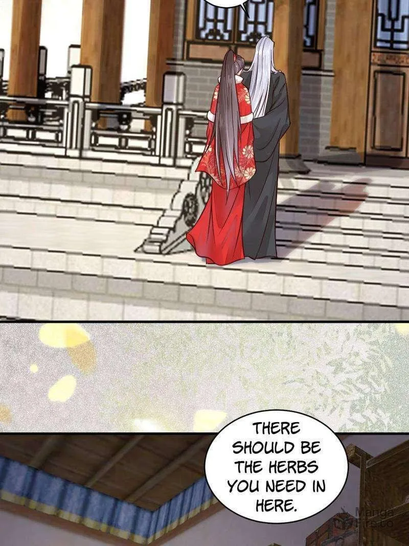 Chapter 533 — page 24