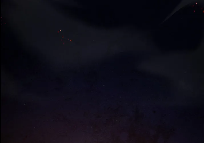 Chapter 1 — page 4